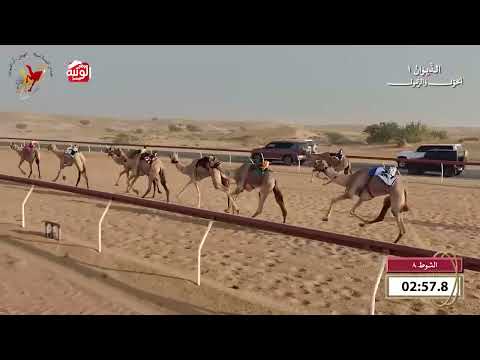   ش 8 (سمحه) لـ غدير سعيد غدير الكتبي  8:11 , شارة الديوان 1 2026/09/20 حول زمول اللبسه  