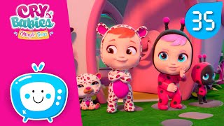 ÉPISODES COMPLETS 😍 CRY BABIES 💦 MAGIC TEARS 💕 COMPILATION +35 MINUTES 🌈