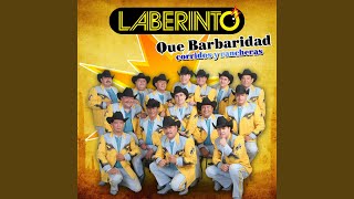 Nueve Caballos