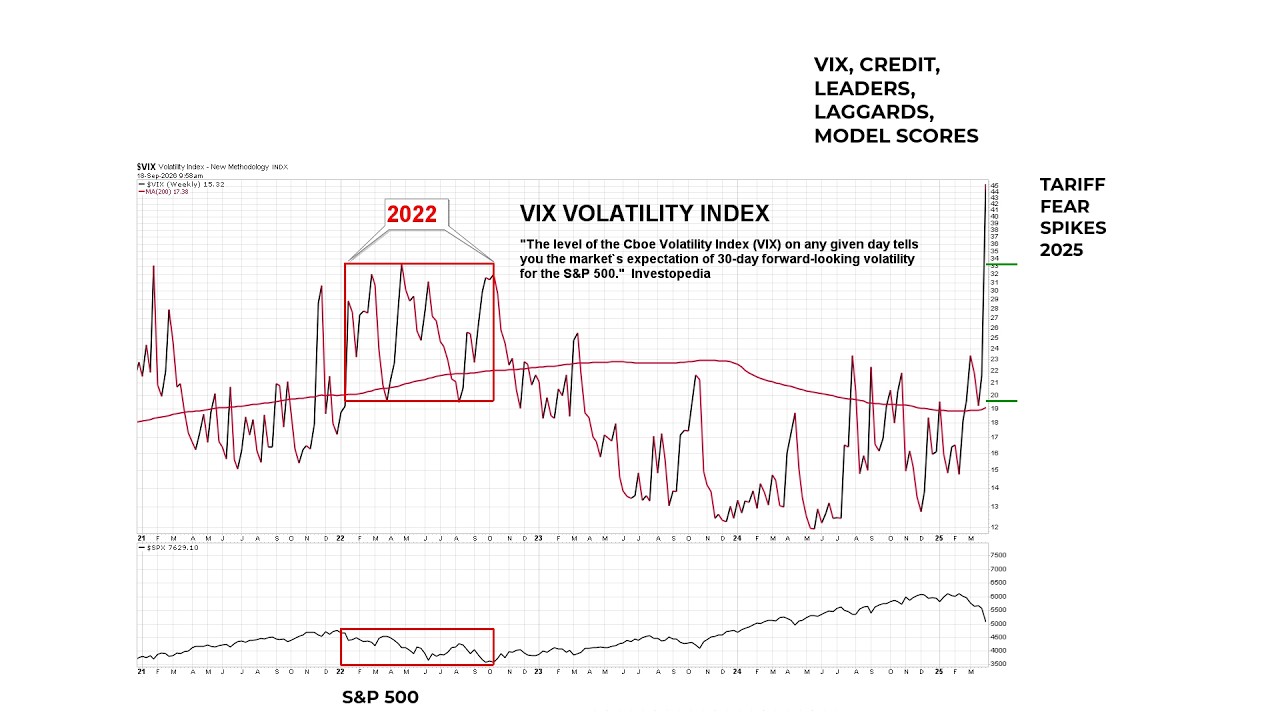 Time To Focus On The Bullish Forest Or The Bearish Trees?