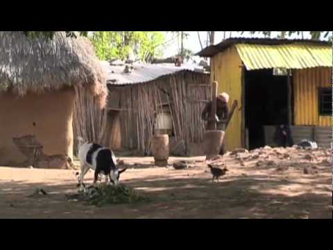 United Nations Decade on Biodiversity - Official Video | Burundi Biodiversity