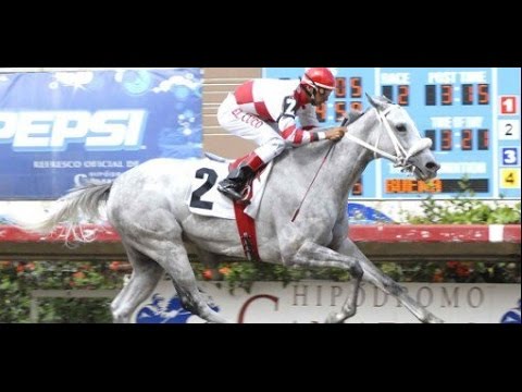 BATALLADORA - Clásico Constitución 2007