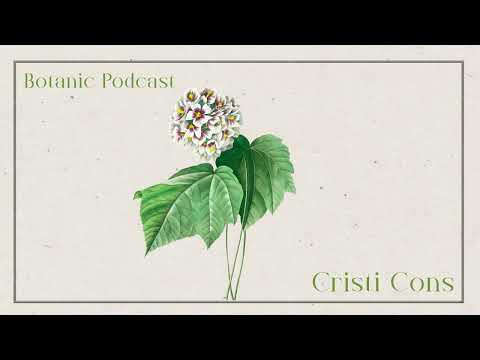 Botanic Podcast - Cristi Cons