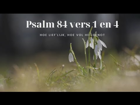 Psalm 84 vers 1 en 4 - Hoe lief'lijk, hoe vol heilgenot