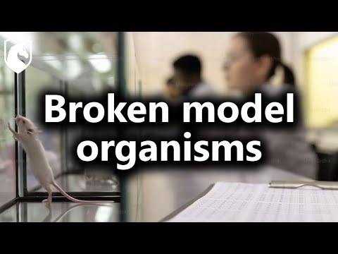 Broken lab mice hide the harms during pharmaceutical testing (from Livestream #172)