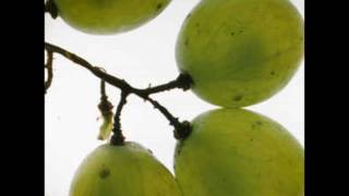 WILBERT LONGMIRE   LOVE'S HOLIDAY