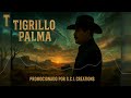 El Compa 80 - Tigrillo Palma