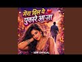 Mera Dil Ye Pukare Aaja