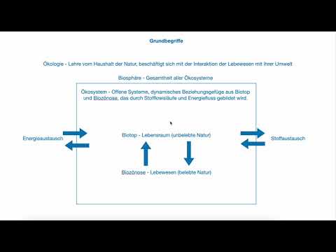 Ökologie - Grundbegriffe der Ökologie, Umweltfaktoren und ökologische Potenz, ökologische Nische