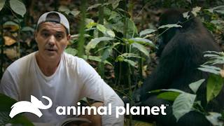 Thumbnail del capítulo