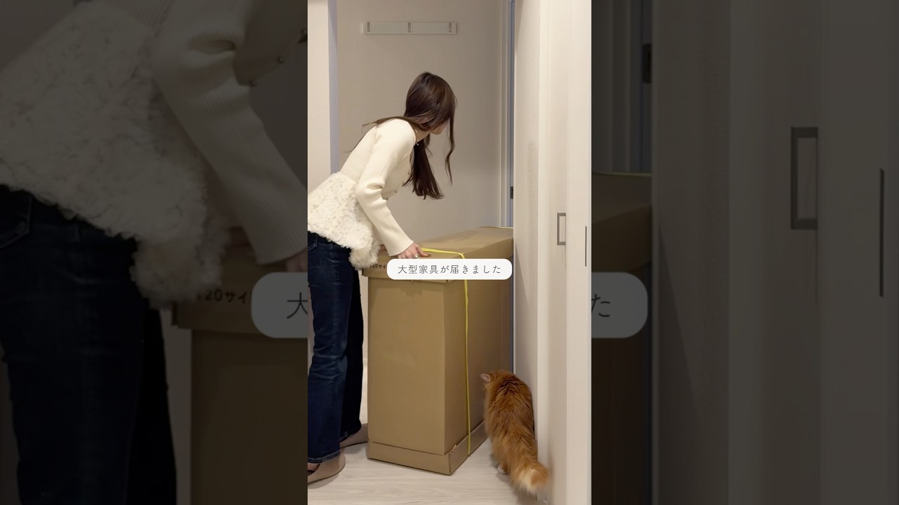 念願のアレが届きました #youtubeshorts #お部屋紹介