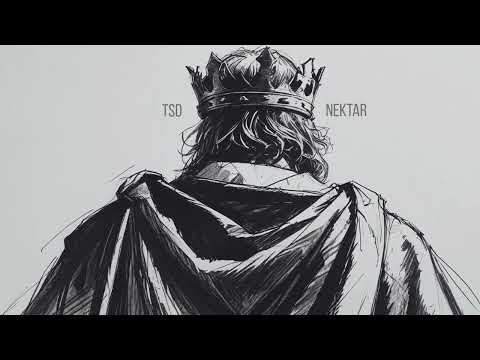 TRANSSEXDISCO - NEKTAR (oficjalne audio)