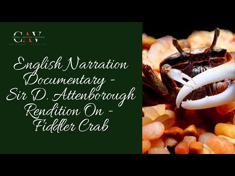 English Documentary Rendition (SIR DAVID ATTENBOROUGH)