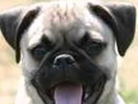 Kiss Me (a JB Love Story) S1 The Pact Chapter 14