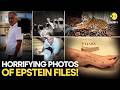 Epstein Files LIVE Terrifying New Photos Surface From Jeffrey Epstein Private Island WION Live
