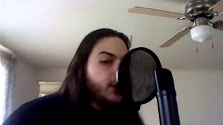 Stone Sour - Choose (vocal cover)