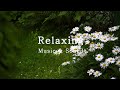Debussy, Claire de Lune -  Relaxing Piano Music, Rain Sound, Calm piano, Peaceful, Deep Sleep