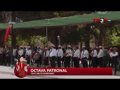 FESTIVAL SOLIDARIO "SAN CARLOS"