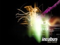 Incubus - Privilege (Lyrics)