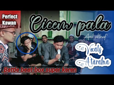 Lagu Aceh - Cicem pala - Nil amani