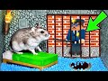 🐹ESCAPE MINECRAFT Hamster Maze with Traps 😱[OBSTACLE COURSE]😱