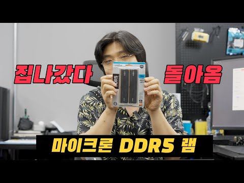 이번에 또 터졌으면 5700자의 욕을 서술하려고 했다가 뻘쭘해진 &quot;마이크론 크루셜 DDR5 램 직구 리뷰&quot; | 용팔이 훈련소