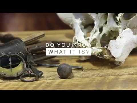 What is it? - Cisco's Gallery March Newsletter