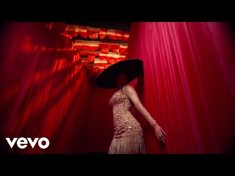 Shashl - Access (Official Visualizer)