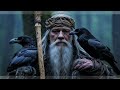 Shamanic Norse Music - Meditation & Ritual - Drums And Throat Singing - Dark Folk / Tribal Ambient