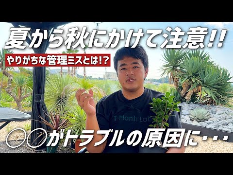 フォレストクレーンズビル 植物
