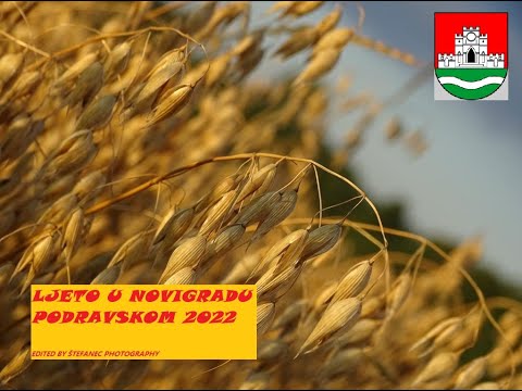 Ljeto u Novigradu Podravskom 4K