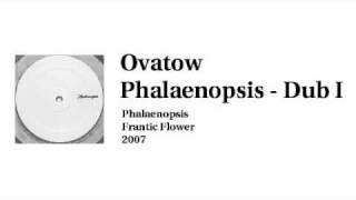 Ovatow - Phalaenopsis Dub I