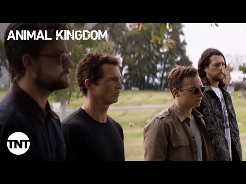 Animal Kingdom: Seasons 1-4 [RECAP] | TNT