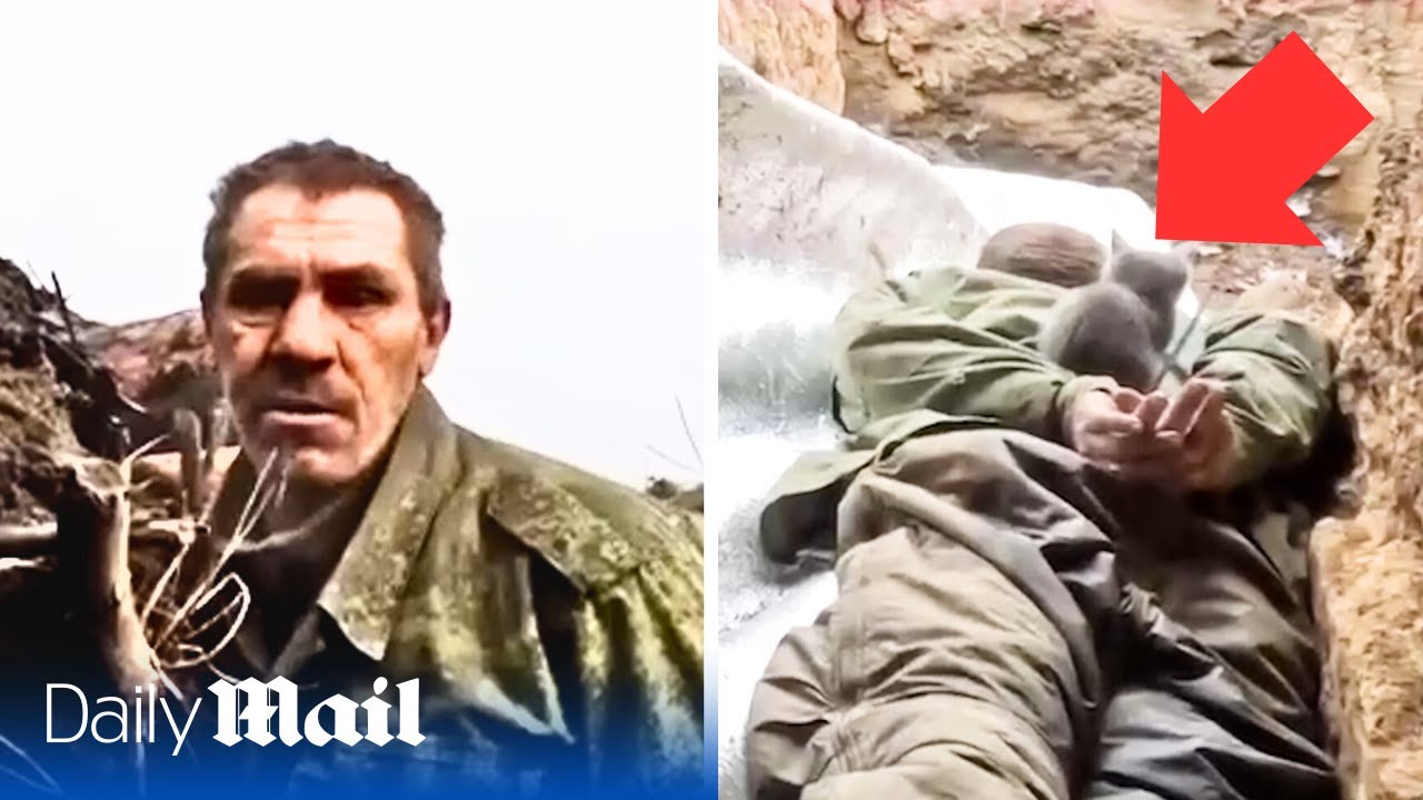 Russian soldier surrenders to Ukraine after troops storm his trench with grenades and machine guns