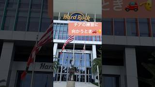 #アメリカ生活 #マイアミ #ドライブ #nfl #チアリーダー #アメフト