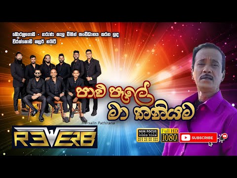 palu pale maa thaniwama | Marselling pathirana with Reverb