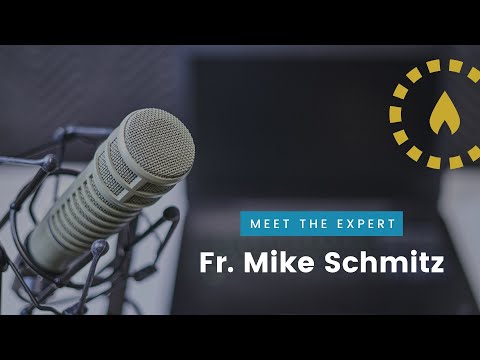 Meet the Revive Expert: Fr. Mike Schmitz