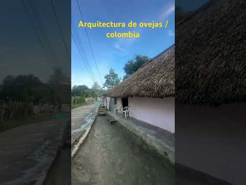 #ovejassucre #colombia #travel
