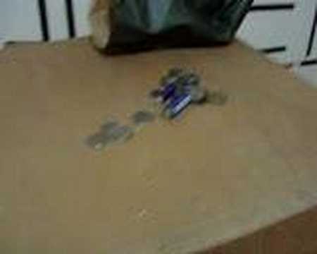 Room Mates from Hell!