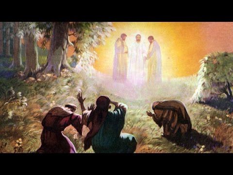 Pope Francis describes Christ's face and the Transfiguration - Living ...