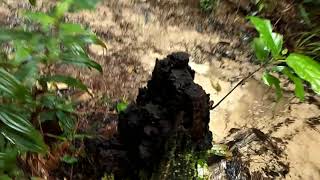 preview picture of video 'ដំណើរកំសាន្ដទៅកាន់ទឹកធ្លាក់ភូមិសុខសាន្ដ។  Trip to Sok San waterfall trekking.'