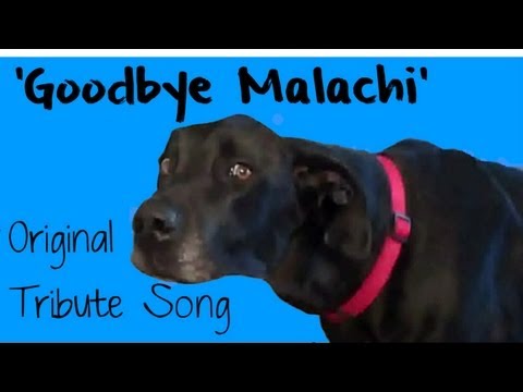 'Goodbye Malachi' ORIGINAL SONG