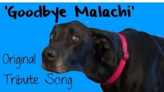 'Goodbye Malachi' ORIGINAL SONG