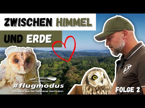 #flugmodus - Die Serie aus der Falknerei Herrmann, Folge 2