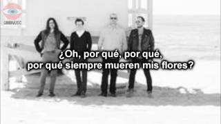 Weezer - Jacked Up | Subtitulada en español