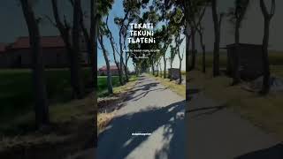 Download lagu kata kata hari ini #fypシ #viral #motivation #reels #fypシ゚viral #katakatabijak #subscribe #shorts mp3