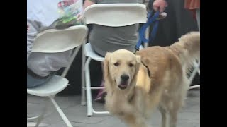 National Pet Day celebrated in Las Vegas
