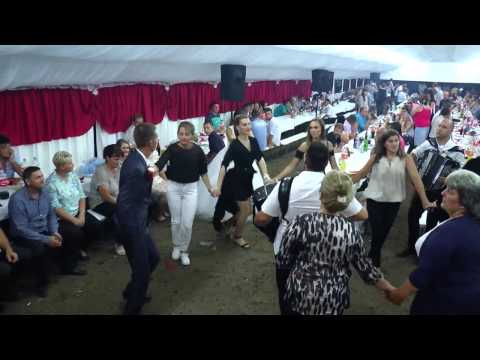 Orkestar Ace Lazarevica i Radmilo Zekic - Miks pesama i Kolo (Svadba - Crnča, Ljubovija 10.09.2016.)