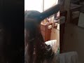 Haircut
