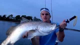 preview picture of video 'Hobie Fishing - Burnett River Barra'
